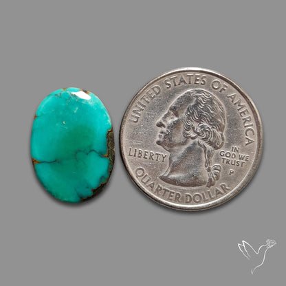 Hubei Turquoise Cabochon