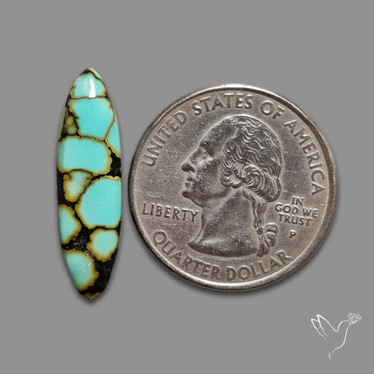 Hubei Turquoise Cabochon