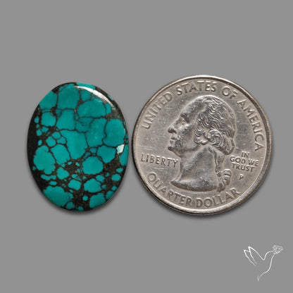 Hubei Turquoise Cabochon