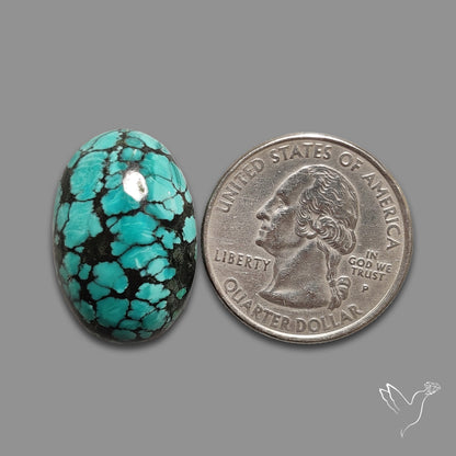 Hubei Turquoise Cabochon