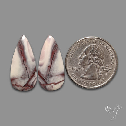 Hyacinth Jaspers Pair