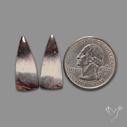 Hyacinth Jaspers Pair