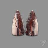 Hyacinth Jaspers Pair