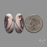 Hyacinth Jaspers Pair
