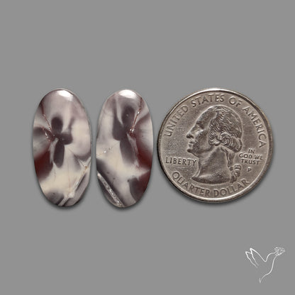 Hyacinth Jaspers Pair