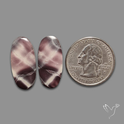 Hyacinth Jaspers Pair