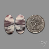Hyacinth Jaspers Pair