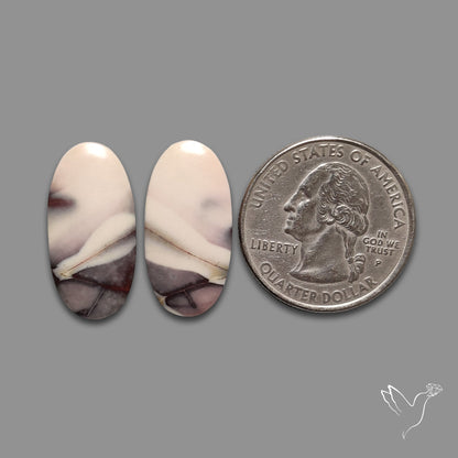 Hyacinth Jaspers Pair