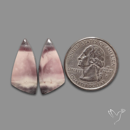 Hyacinth Jaspers Pair