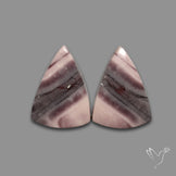 Hyacinth Jaspers Pair