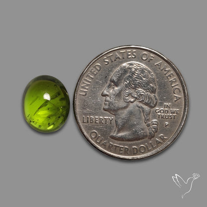 Gemmy Peridot Large Cabochon Great Lustre