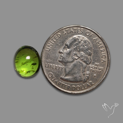 Gemmy Peridot Large Cabochon Great Lustre