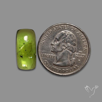 Gemmy Peridot Large Cabochon Great Lustre