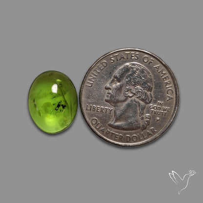 Gemmy Peridot Large Cabochon Great Lustre
