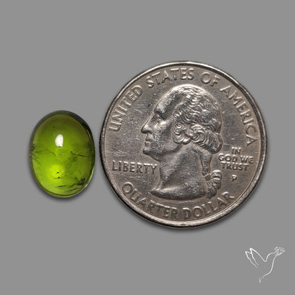 Gemmy Peridot Large Cabochon Great Lustre
