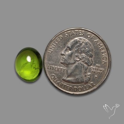Gemmy Peridot Large Cabochon Great Lustre