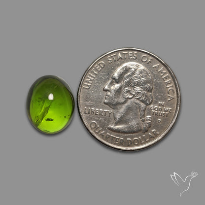 Gemmy Peridot Large Cabochon Great Lustre