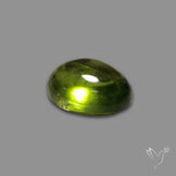 Gemmy Peridot Large Cabochon Great Lustre