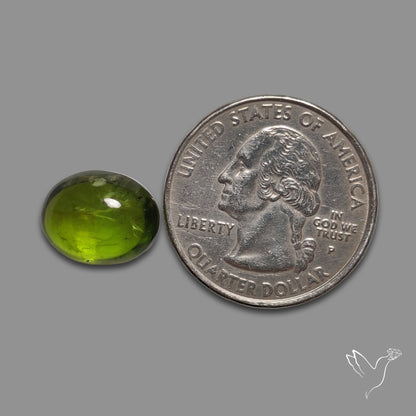 Gemmy Peridot Large Cabochon Great Lustre