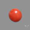 Red Coral Cabochon