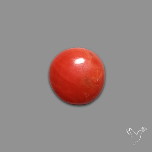 Red Coral Cabochon
