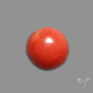 Red Coral Cabochon