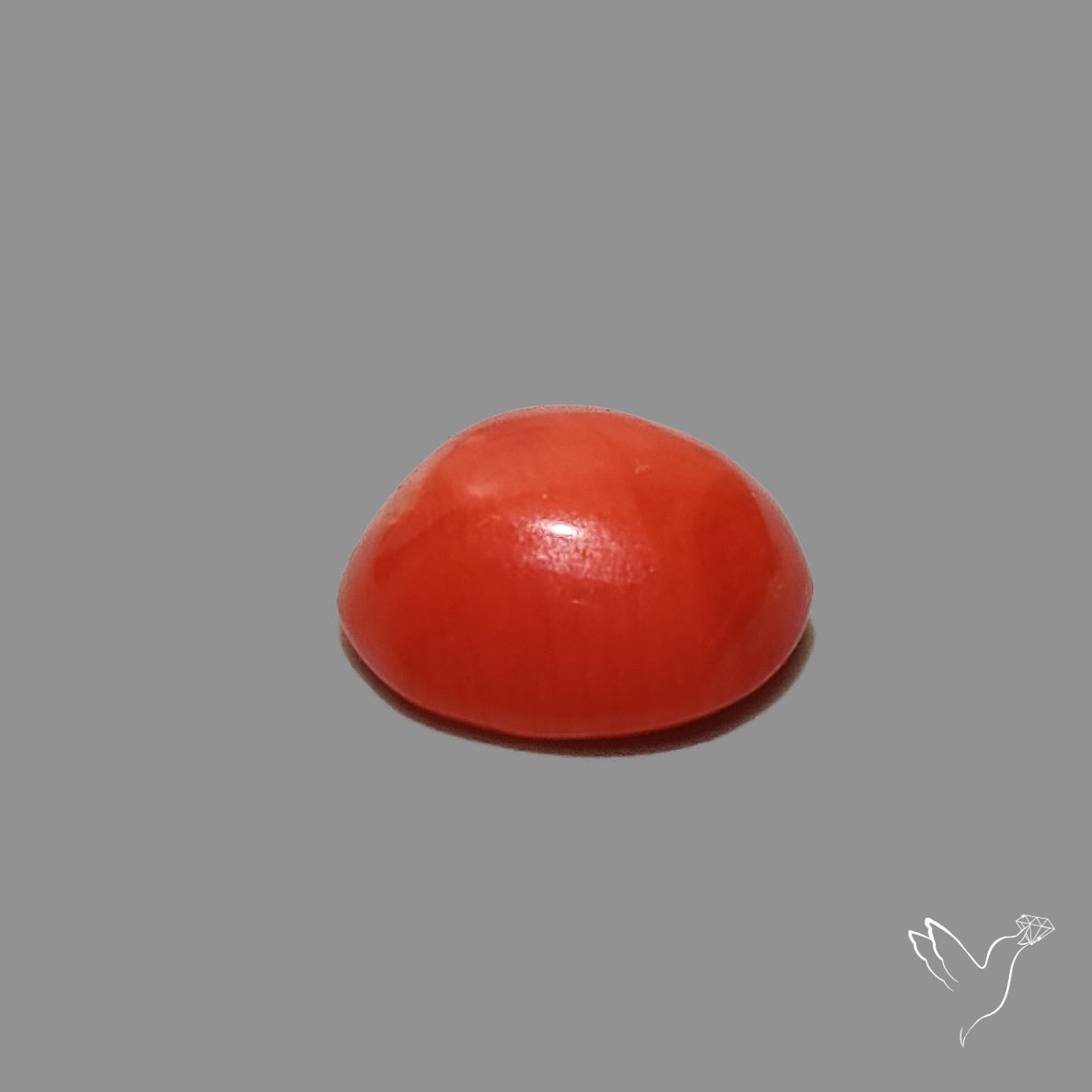 Red Coral Cabochon