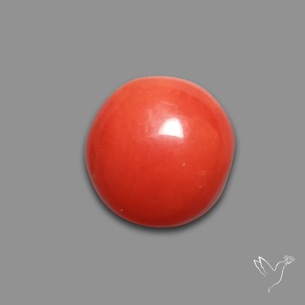 Red Coral Cabochon