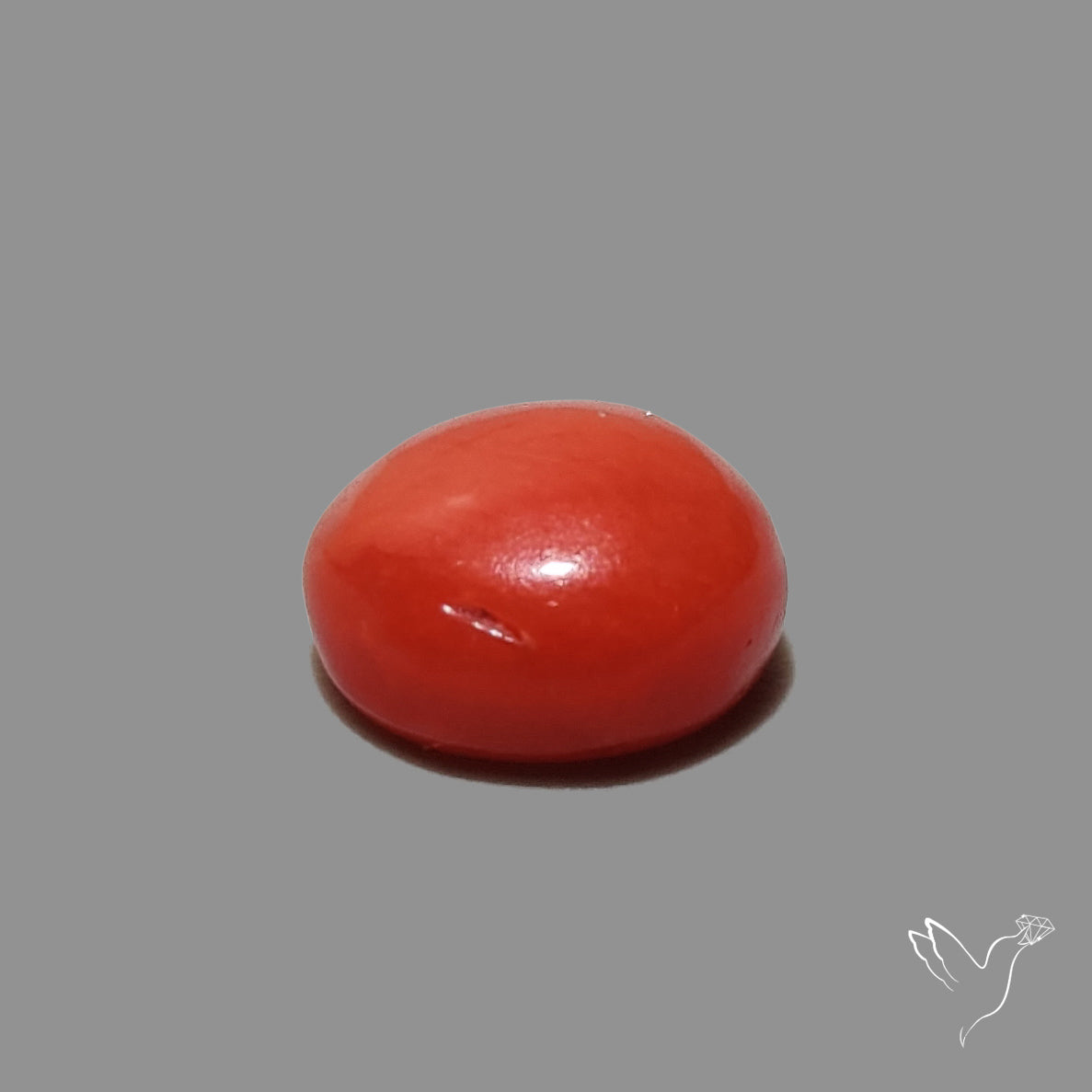 Red Coral Cabochon
