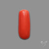 Red Coral Cabochon