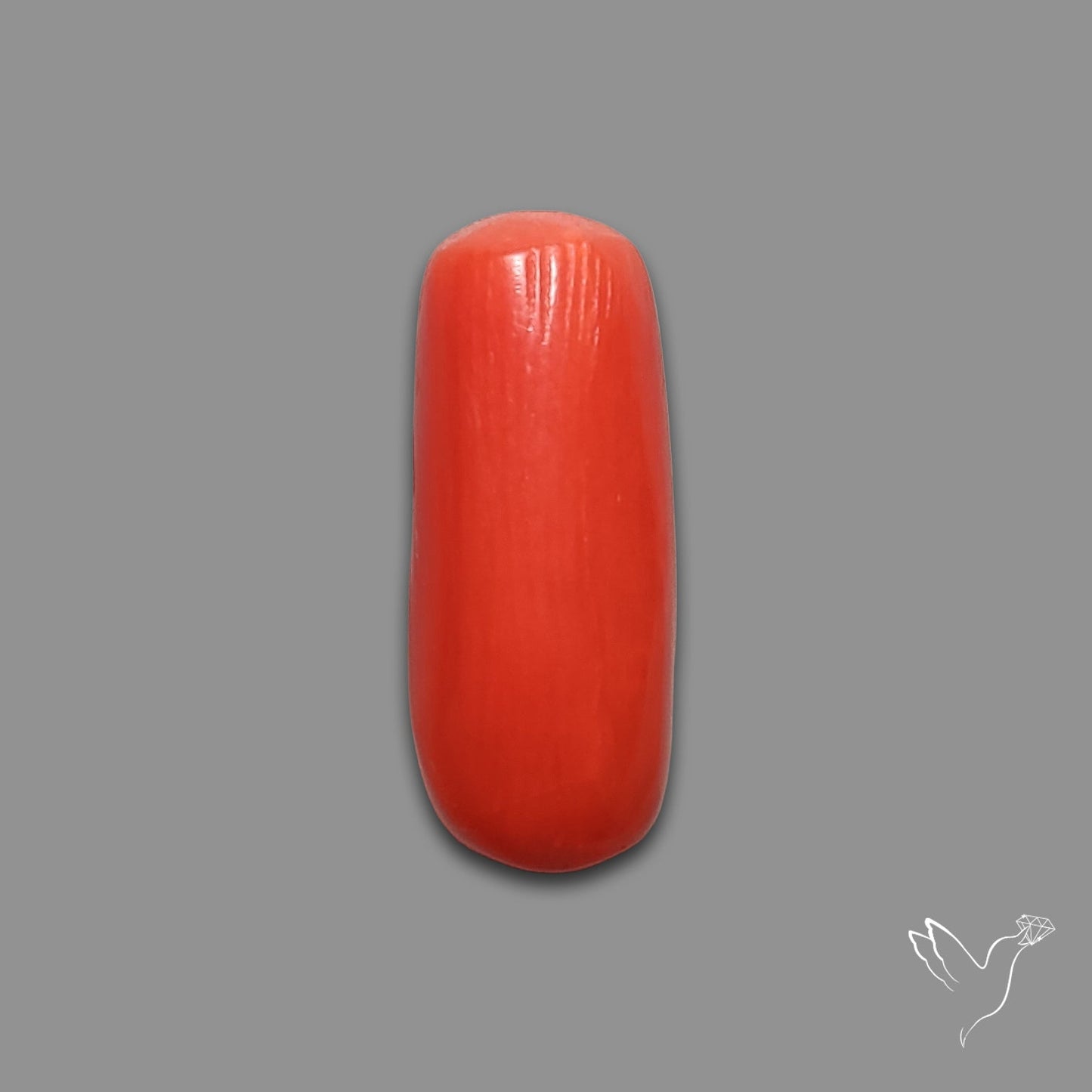 Red Coral Cabochon