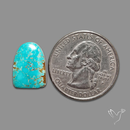 Number 8 Mines Turquoise Cabochon
