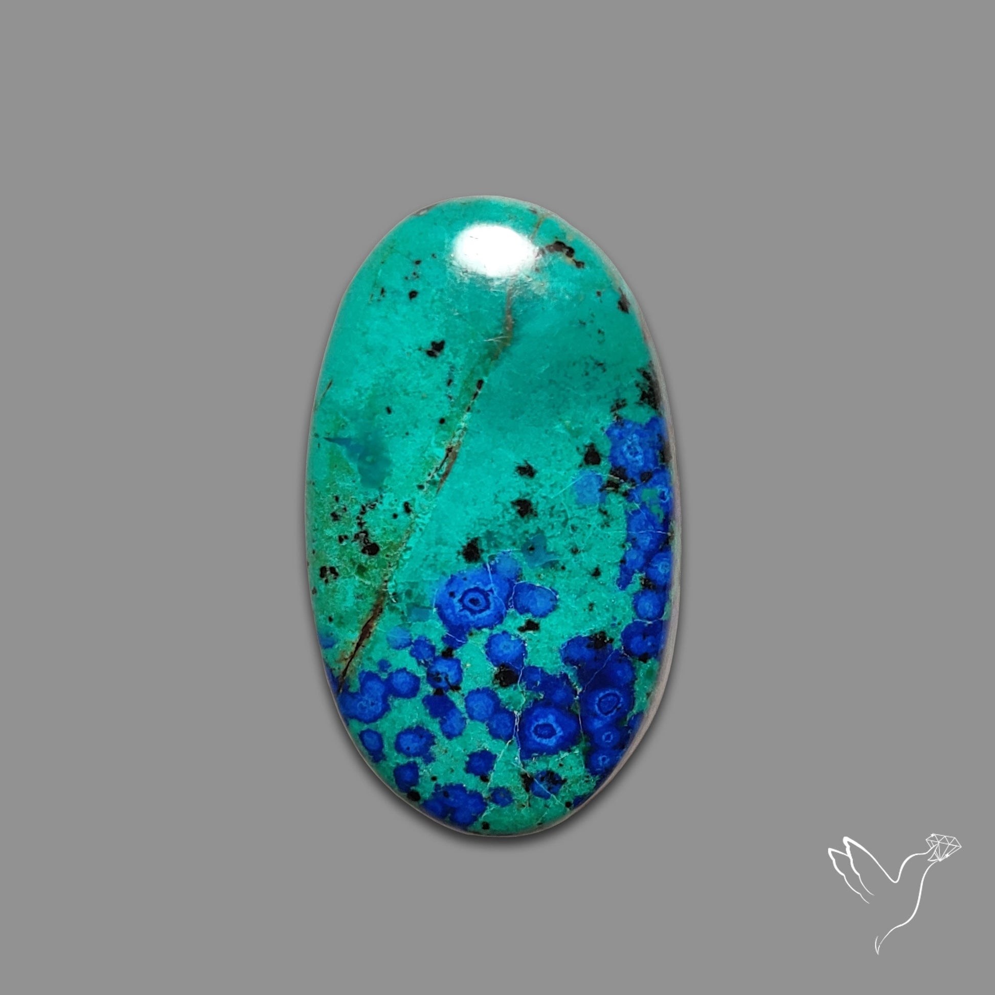 Bluebird Azurite Malachite Cabochon