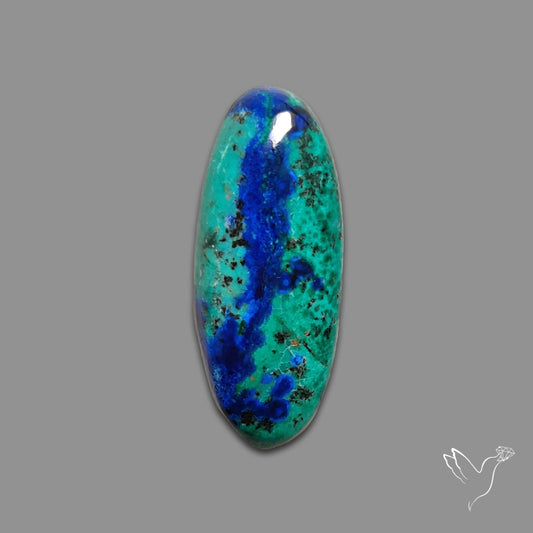Bluebird Azurite Malachite Cabochon