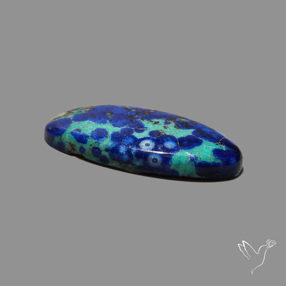 Bluebird Azurite Malachite Cabochon