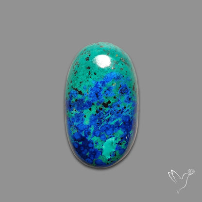 Bluebird Azurite Malachite Cabochon