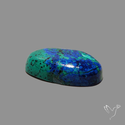 Bluebird Azurite Malachite Cabochon