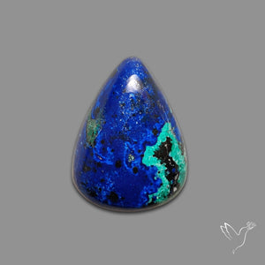 Bluebird Azurite Malachite Cabochon
