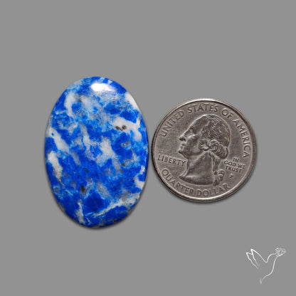 Lapis Lazuli with Quartz Inclusion Cabochon