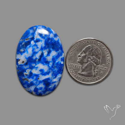 Lapis Lazuli with Quartz Inclusion Cabochon