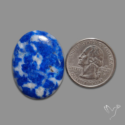 Lapis Lazuli with Quartz Inclusion Cabochon