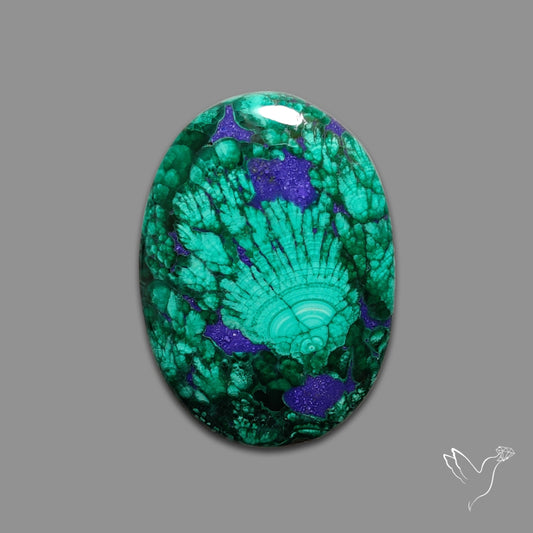 Malachite with Lapis Inlay Cabochon