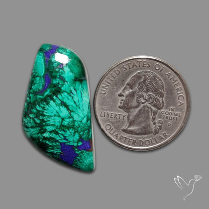 Malachite with Lapis Inlay Cabochon