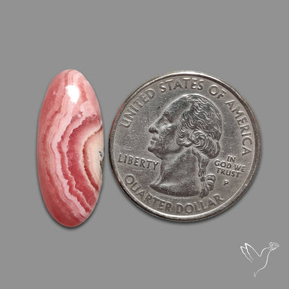 Rhodochrosite Cabochon
