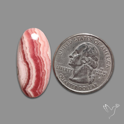 Rhodochrosite Cabochon