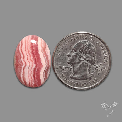 Rhodochrosite Cabochon