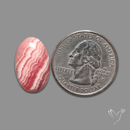 Rhodochrosite Cabochon