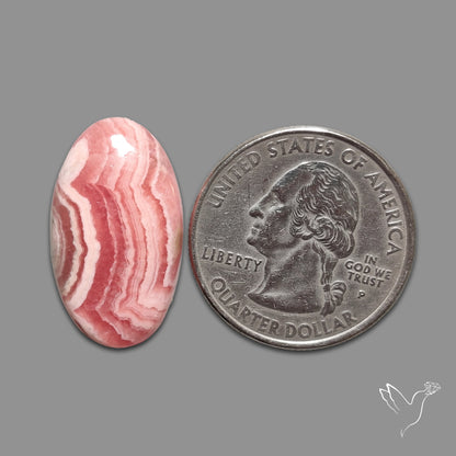 Rhodochrosite Cabochon
