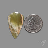 Greenlace Calcite Cabochon