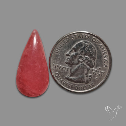 Gemmy Rhodochrosite Cabochon